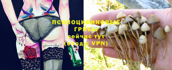 марихуана Белокуриха