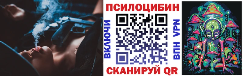мега зеркало  Плёс  Галлюциногенные грибы GOLDEN TEACHER  купить  сайты 